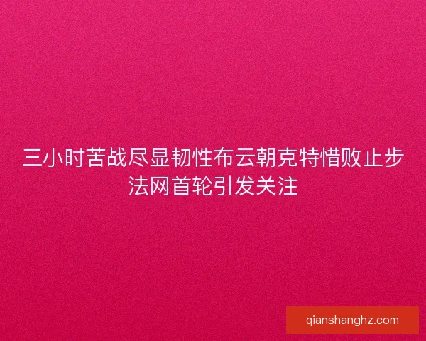 三小时苦战尽显韧性布云朝克特惜败止步法网首轮引发关注